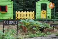 Огород на площадке детского садика